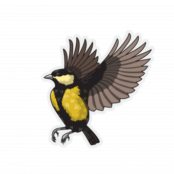 Bird stickers