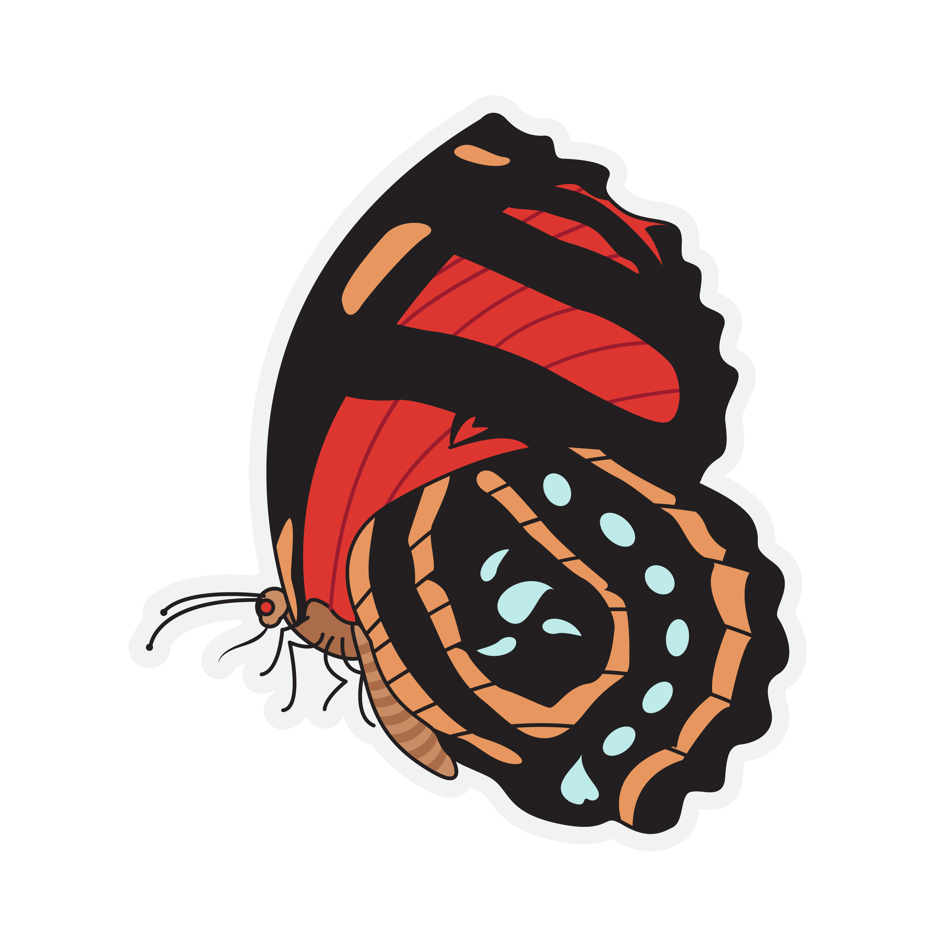 Butterfly Stickers in SVG, PNG, AI DrawHipo
