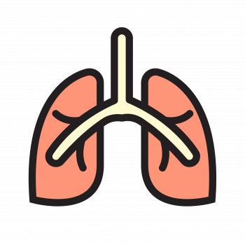 Medical Icons